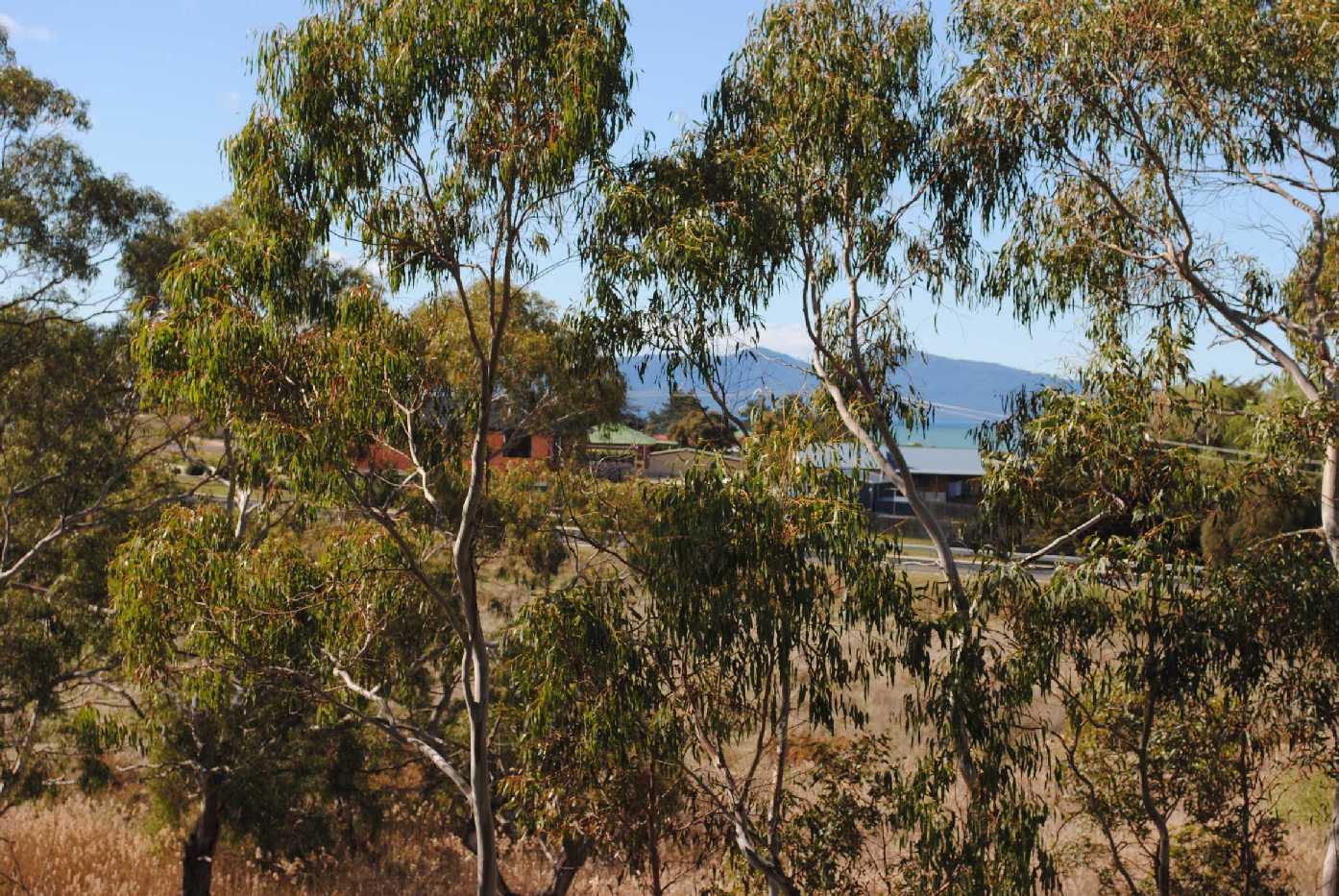 Main view of Homely land listing, 16 River Street, Swansea TAS 7190