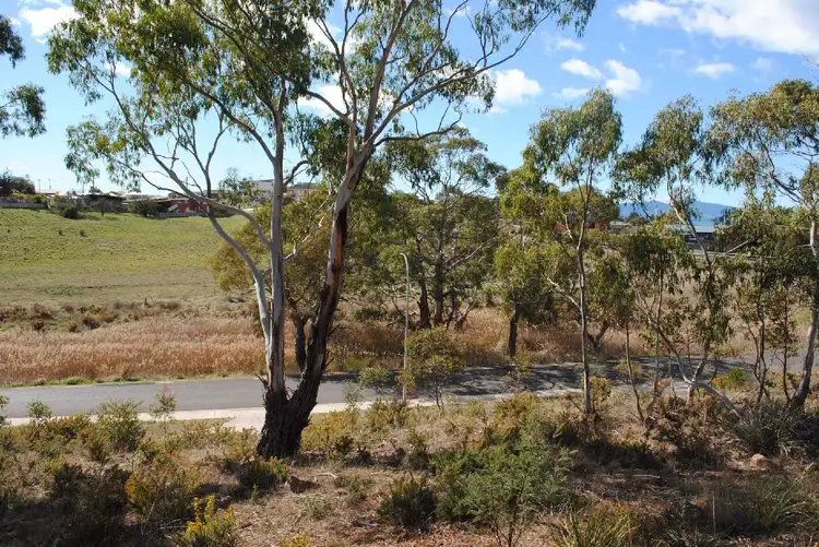 Second view of Homely land listing, 16 River Street, Swansea TAS 7190