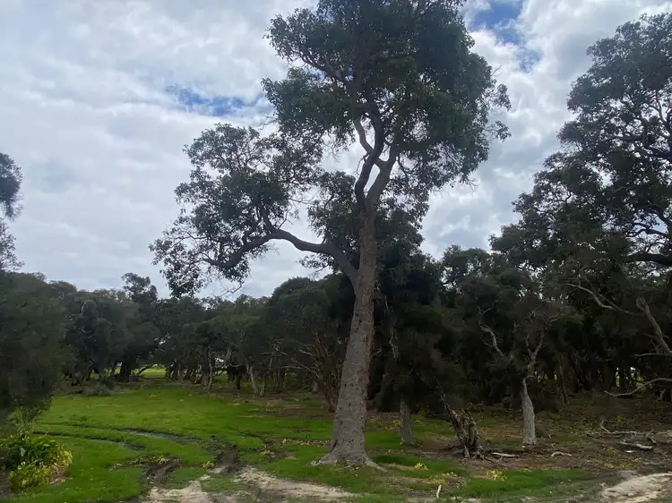 Second view of Homely land listing, LOT 1799 Kawana Boulevard, Dunsborough WA 6281