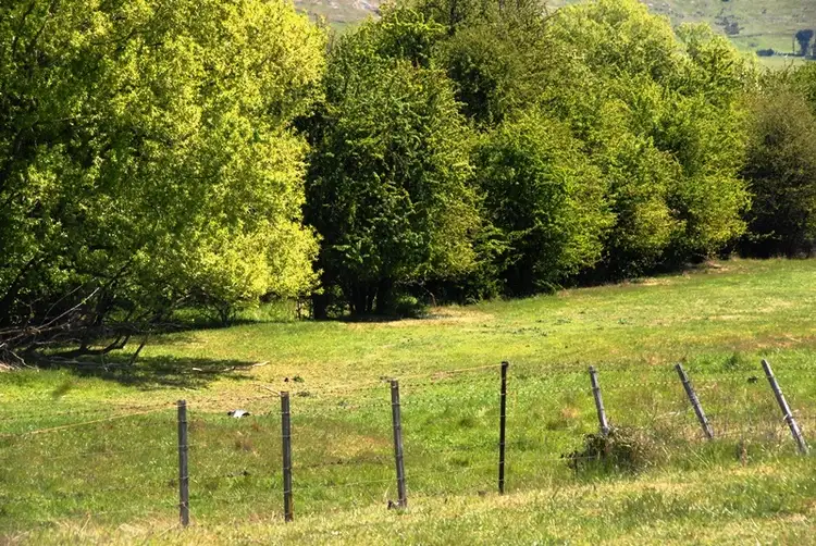 Fifth view of Homely land listing, Lot 1 Sophia Street, Kempton TAS 7030
