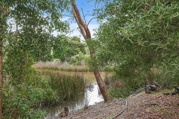 Fifth view of Homely house listing, 485 Seven Bridges Road, Gerangamete VIC 3249