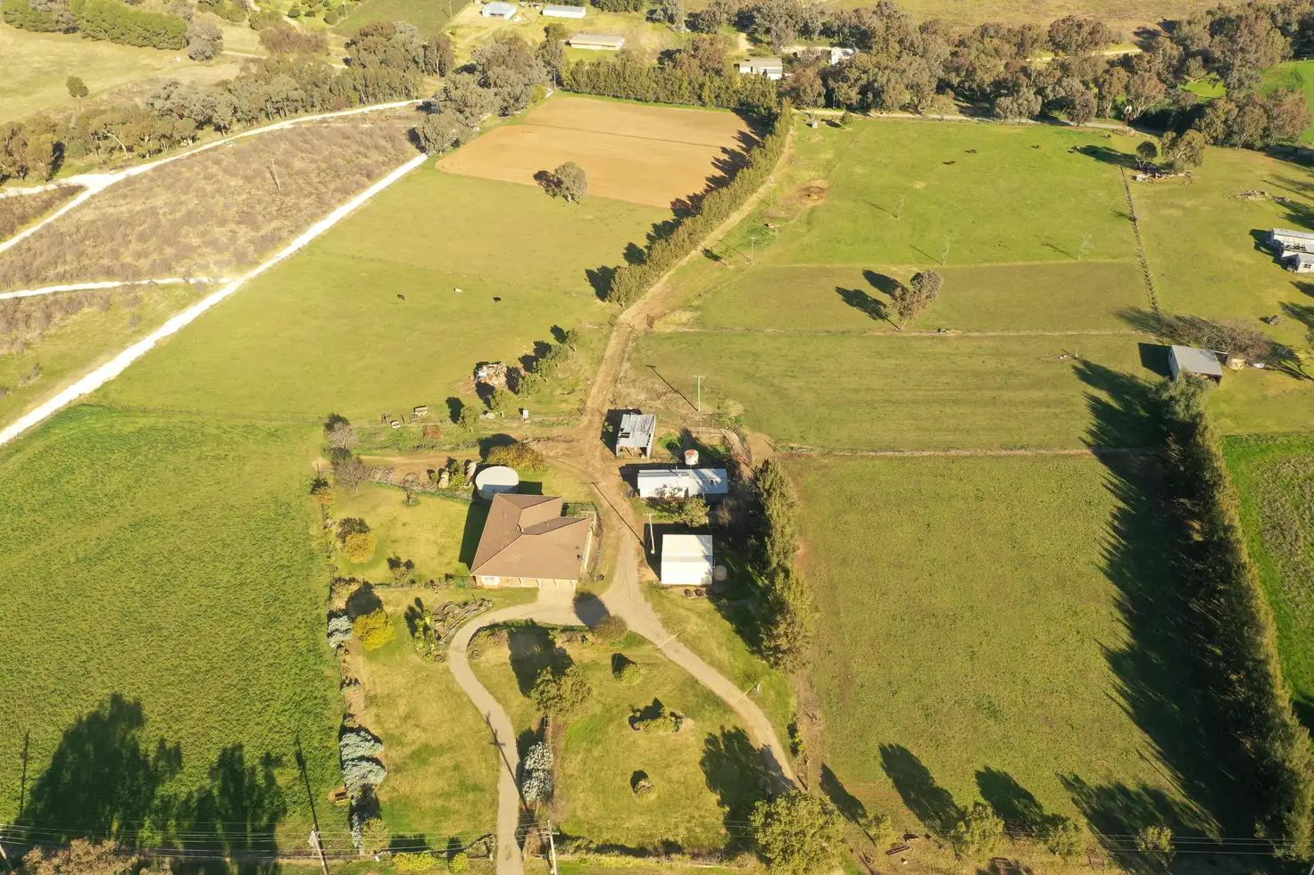 Main view of Homely house listing, 4173 Murringo Road, Young NSW 2594