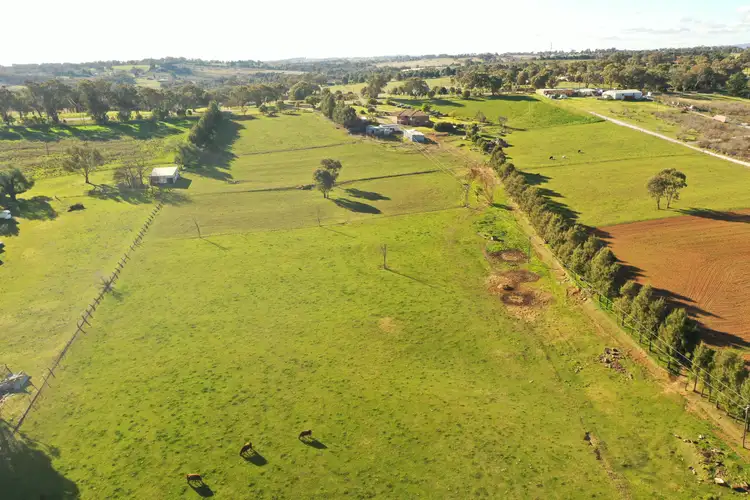 Fifth view of Homely house listing, 4173 Murringo Road, Young NSW 2594