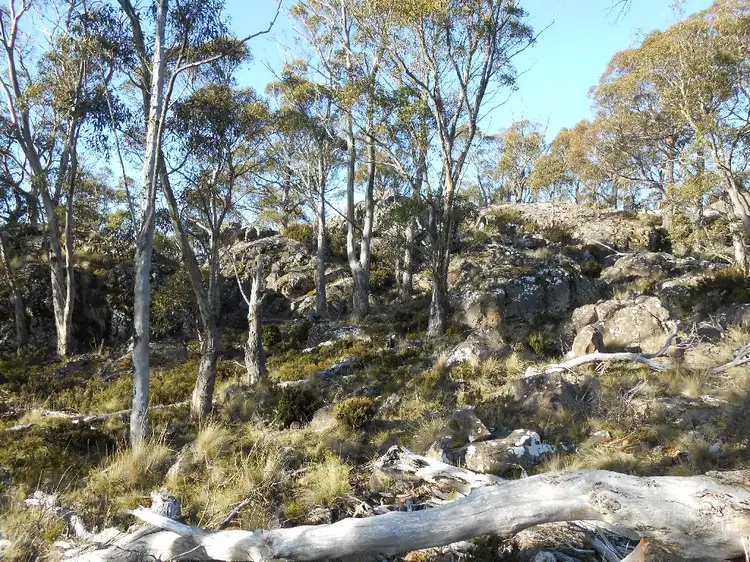 Second view of Homely land listing, 3 Little Dog Court, Miena TAS 7030