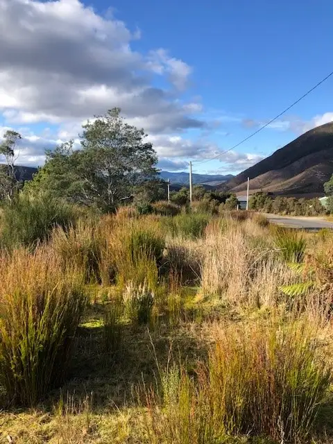 Fifth view of Homely rural property listing, 11 Tyndall Street, Gormanston TAS 7466