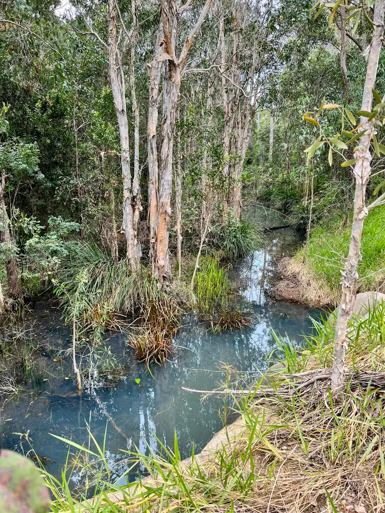 Sixth view of Homely rural property listing, 230 Avocado Crescent, Captain Creek QLD 4677