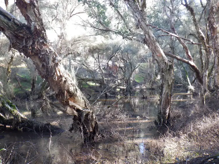 Third view of Homely rural property listing, Lots 3 & 7 Pomeroy Road, Manjimup WA 6258