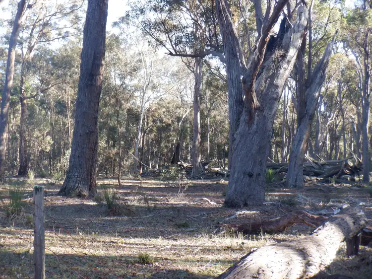 Seventh view of Homely rural property listing, Lots 3 & 7 Pomeroy Road, Manjimup WA 6258