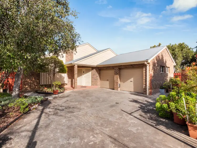 16 Griffin Place, Wynn Vale SA 5127
