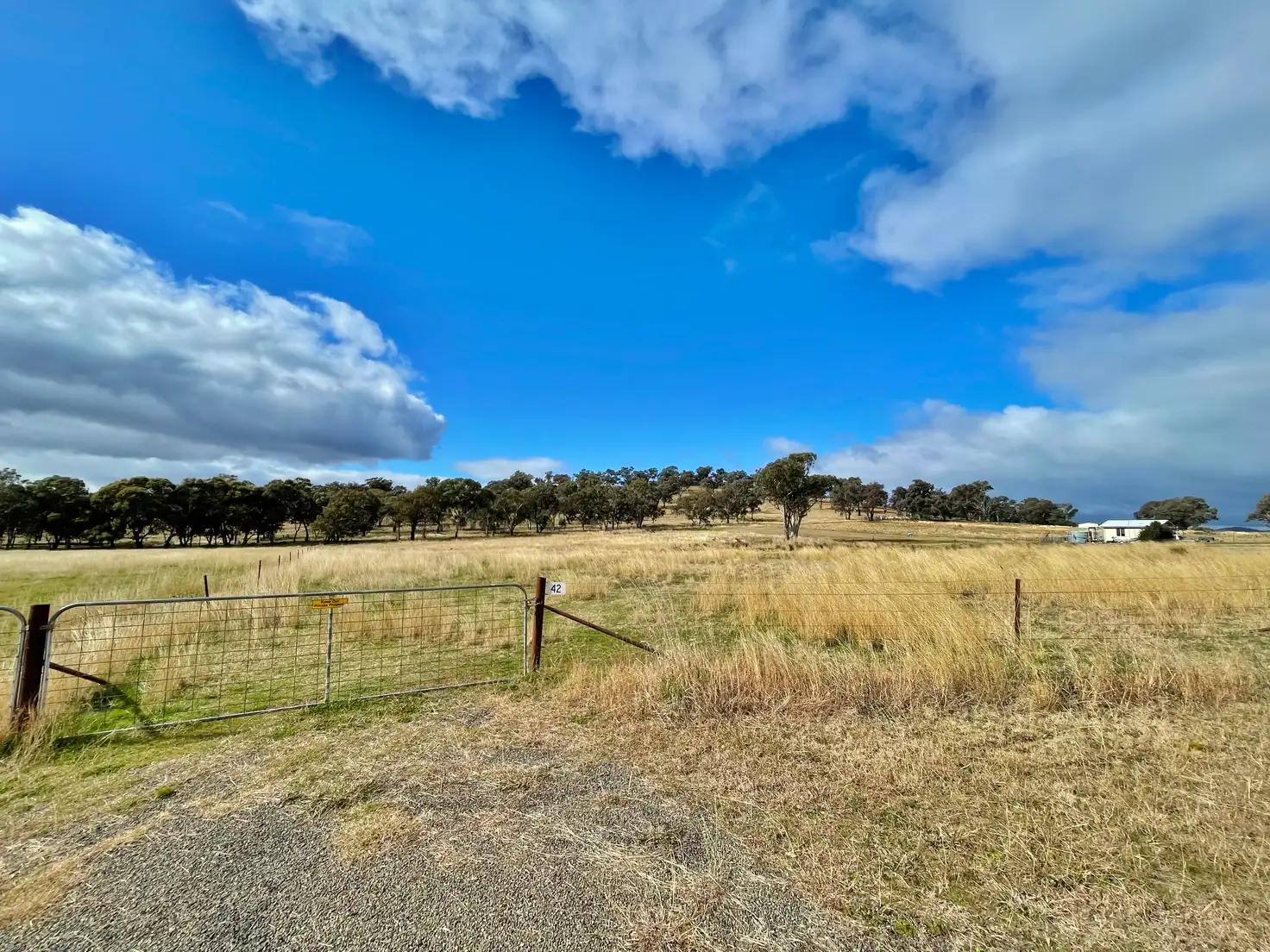 Main view of Homely land listing, 42 Dowling Dr, Murringo via, Young NSW 2594
