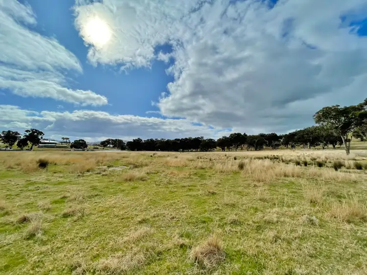 Seventh view of Homely land listing, 42 Dowling Dr, Murringo via, Young NSW 2594