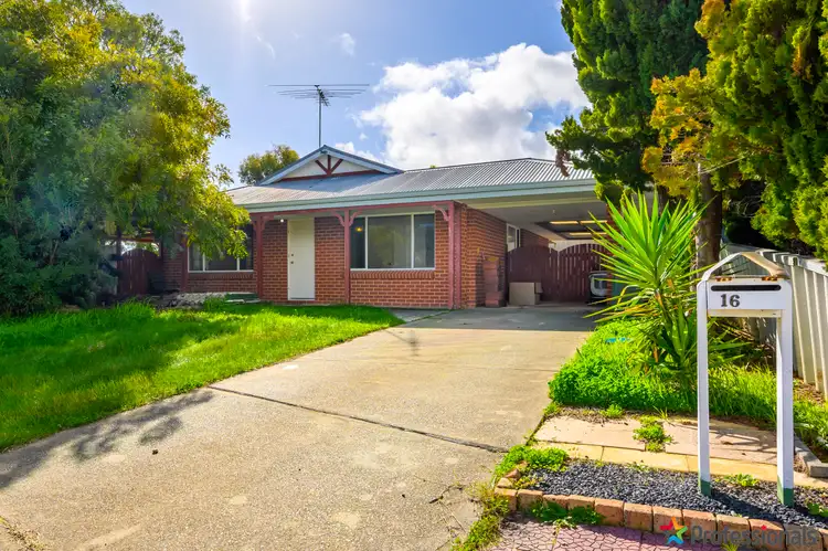 Main view of Homely house listing, 16 Rathmines Place, Coodanup WA 6210