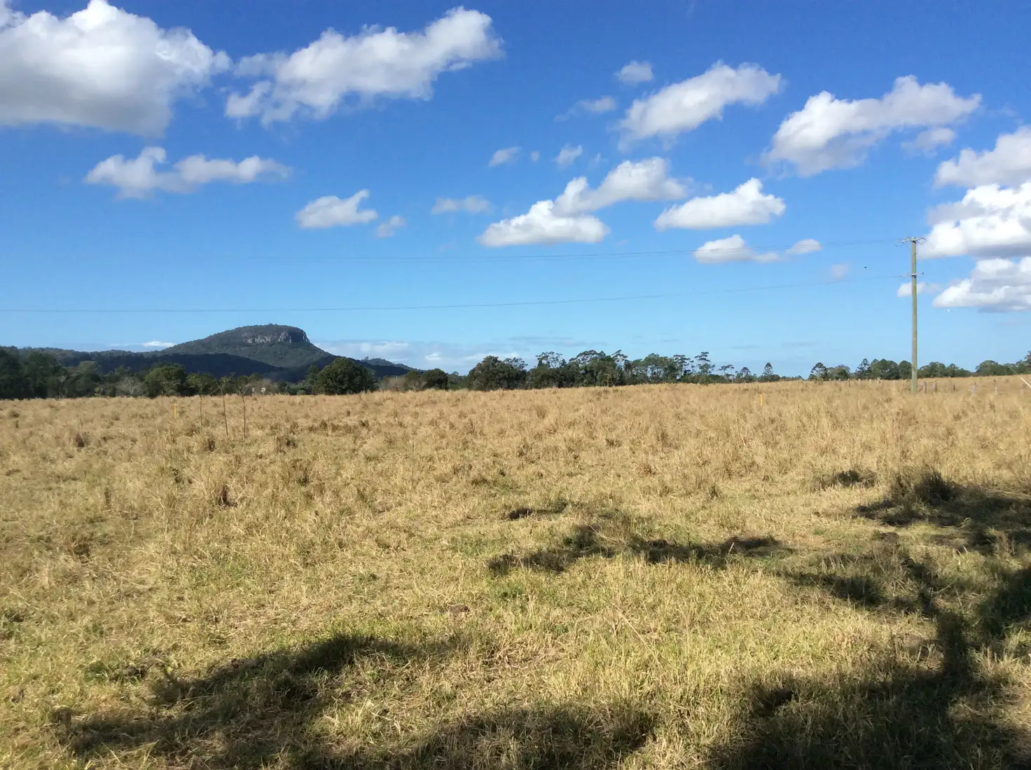 Main view of Homely rural property listing, 0 Carrs Road, Bridges QLD 4561