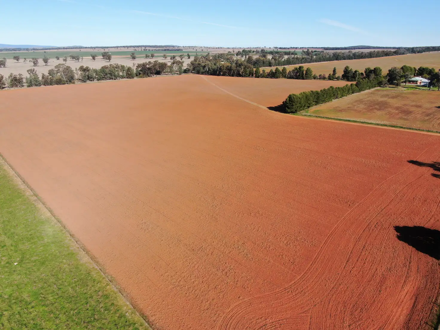 Main view of Homely rural property listing, 'Brigadoon', 3528 Wirrinya Road, Forbes NSW 2871