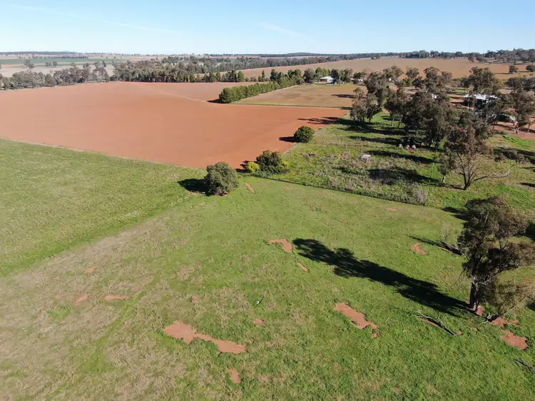 Fourth view of Homely rural property listing, 'Brigadoon', 3528 Wirrinya Road, Forbes NSW 2871