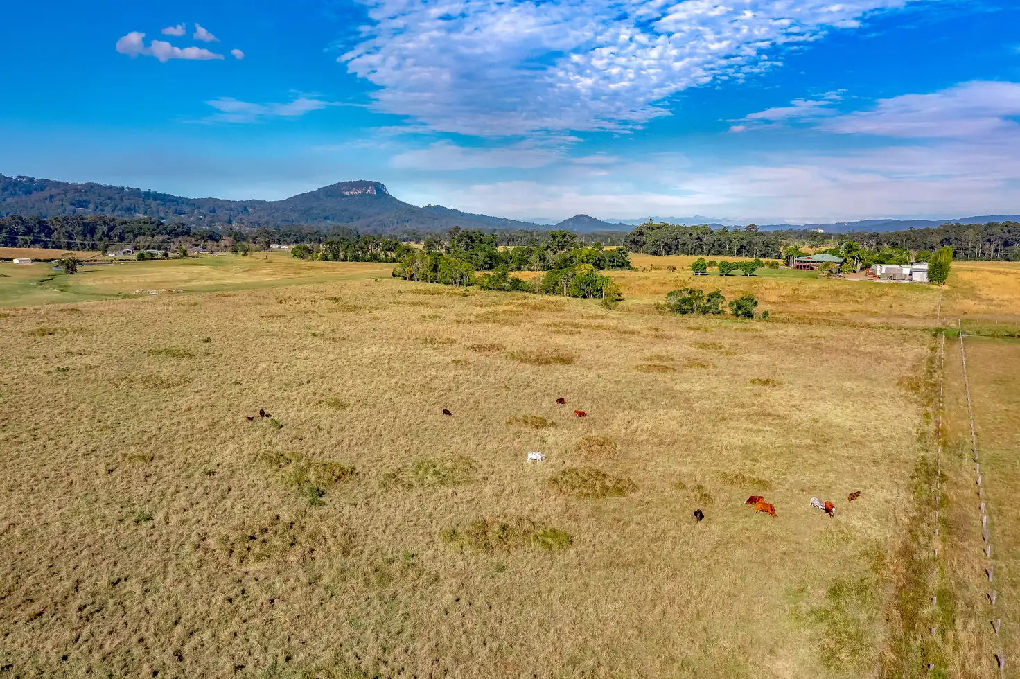 Main view of Homely rural property listing, 80 Carrs Road, Bridges QLD 4561