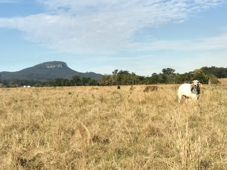 Second view of Homely rural property listing, 80 Carrs Road, Bridges QLD 4561