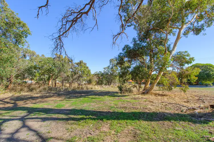 Fourth view of Homely land listing, 260 Viveash Road, Swan View WA 6056