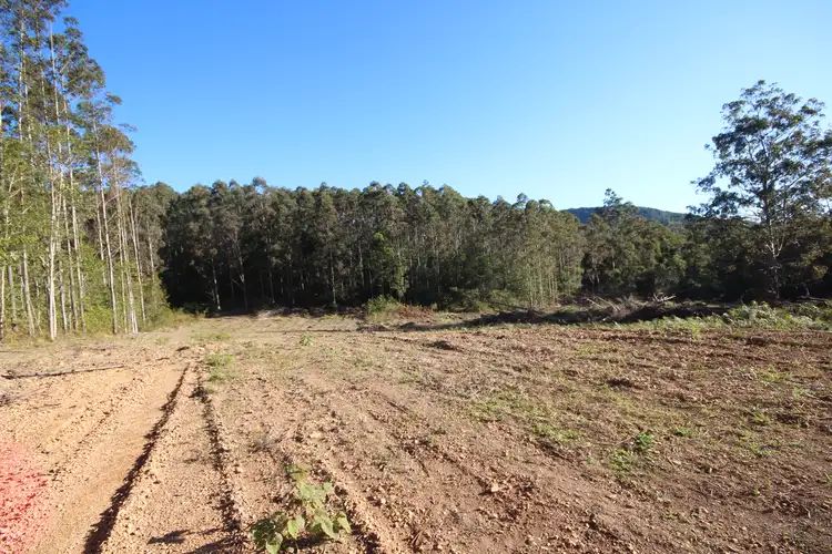 Main view of Homely rural property listing, Lot 6 Bluegum Lane, Ellenborough NSW 2446