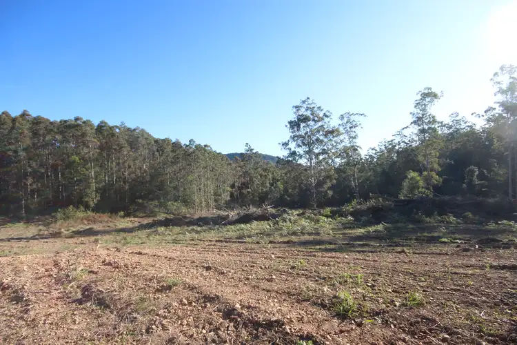 Third view of Homely rural property listing, Lot 6 Bluegum Lane, Ellenborough NSW 2446