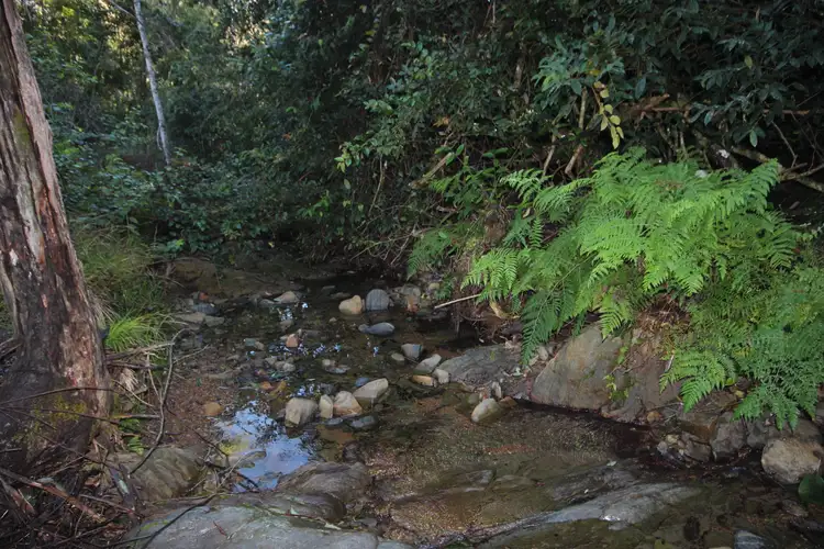 Fourth view of Homely rural property listing, Lot 6 Bluegum Lane, Ellenborough NSW 2446