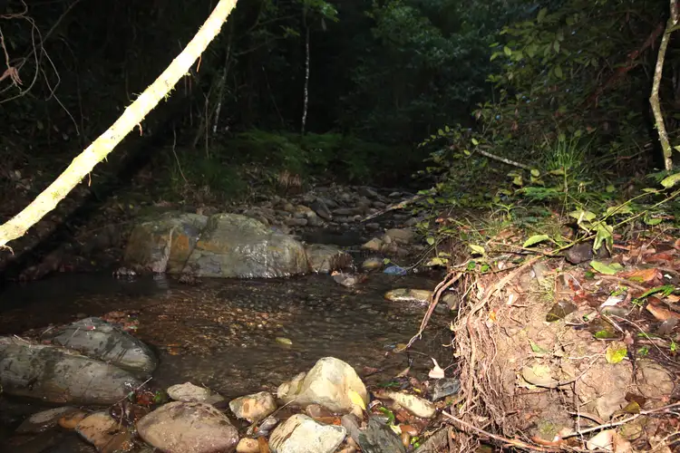 Fifth view of Homely rural property listing, Lot 6 Bluegum Lane, Ellenborough NSW 2446