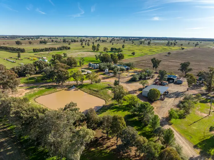 Main view of Homely rural property listing, 'Ostenleigh Aggregation', 750 Berendebba Lane, Quandialla NSW 2721