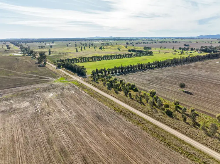 Third view of Homely rural property listing, 'Ostenleigh Aggregation', 750 Berendebba Lane, Quandialla NSW 2721