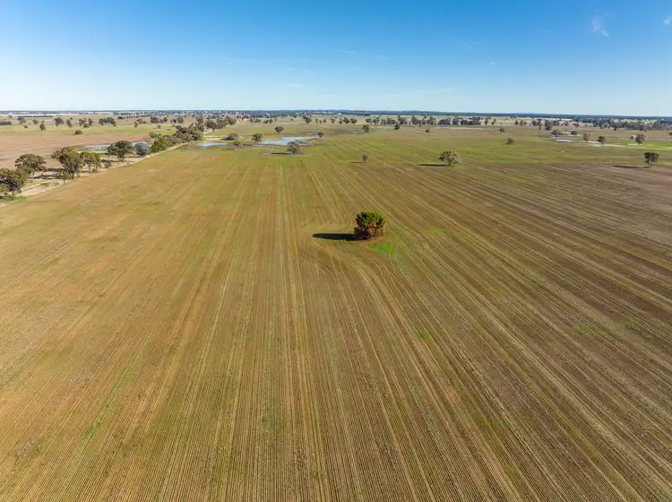 Fourth view of Homely rural property listing, 'Ostenleigh Aggregation', 750 Berendebba Lane, Quandialla NSW 2721