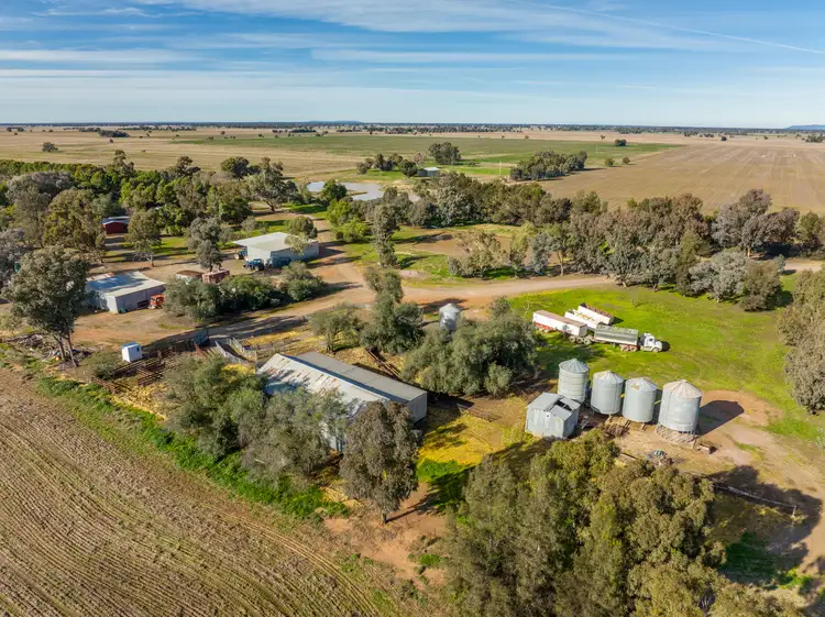 Fifth view of Homely rural property listing, 'Ostenleigh Aggregation', 750 Berendebba Lane, Quandialla NSW 2721