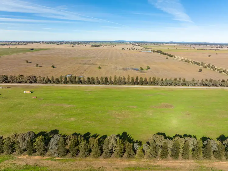 Sixth view of Homely rural property listing, 'Ostenleigh Aggregation', 750 Berendebba Lane, Quandialla NSW 2721