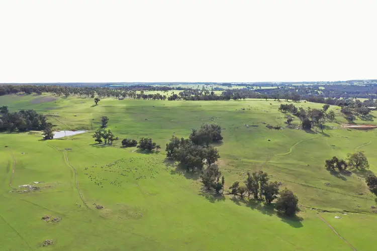 Second view of Homely rural property listing, 38 Farleigh Road, Boyup Brook WA 6244