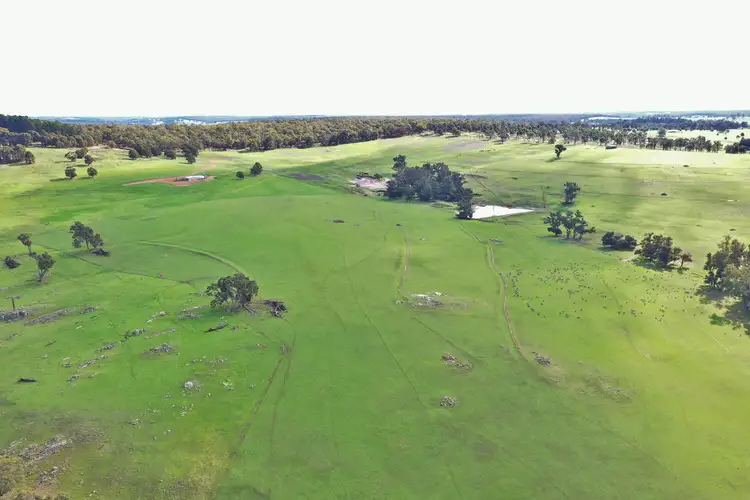 Third view of Homely rural property listing, 38 Farleigh Road, Boyup Brook WA 6244