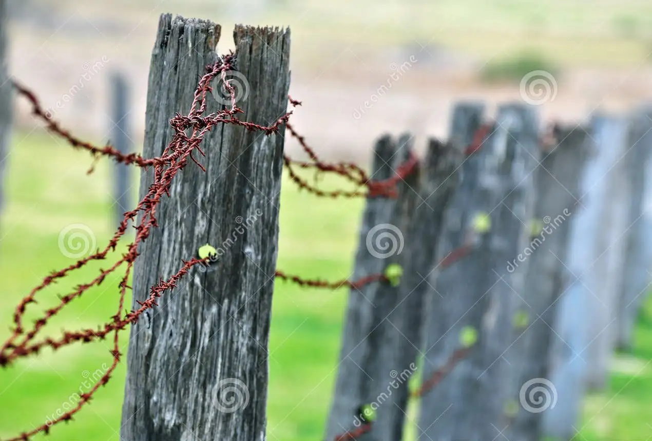 Main view of Homely land listing, Lot 2 & 3 Klibbe Road, Lowood QLD 4311