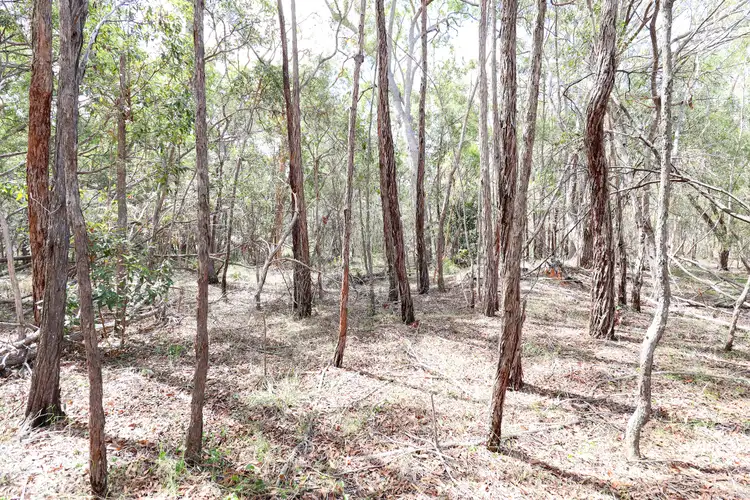 Fifth view of Homely land listing, Lot 74 Mcghee Crescent, Agnes Water QLD 4677