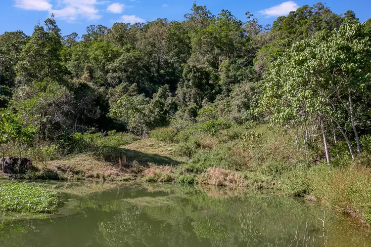 Sixth view of Homely rural property listing, 191 Chilcotts Road, Crystal Creek NSW 2484