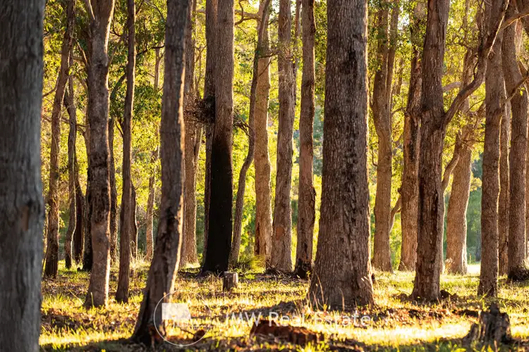 Seventh view of Homely land listing, LOT 516 Witchcliffe Forest Estate, 22 Redgate Road, Witchcliffe WA 6286