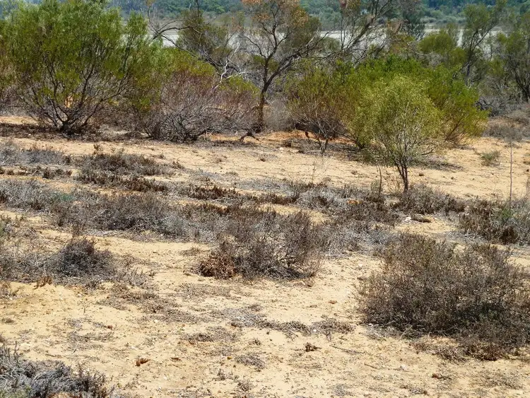 Sixth view of Homely land listing, Lot 33 Wheatley Road, Loxton SA 5333