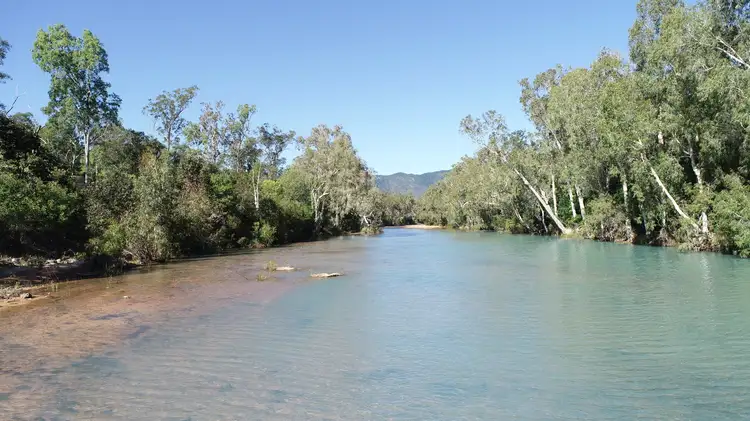 Main view of Homely rural property listing, 869 Forestry Road, Blue Hills QLD 4818