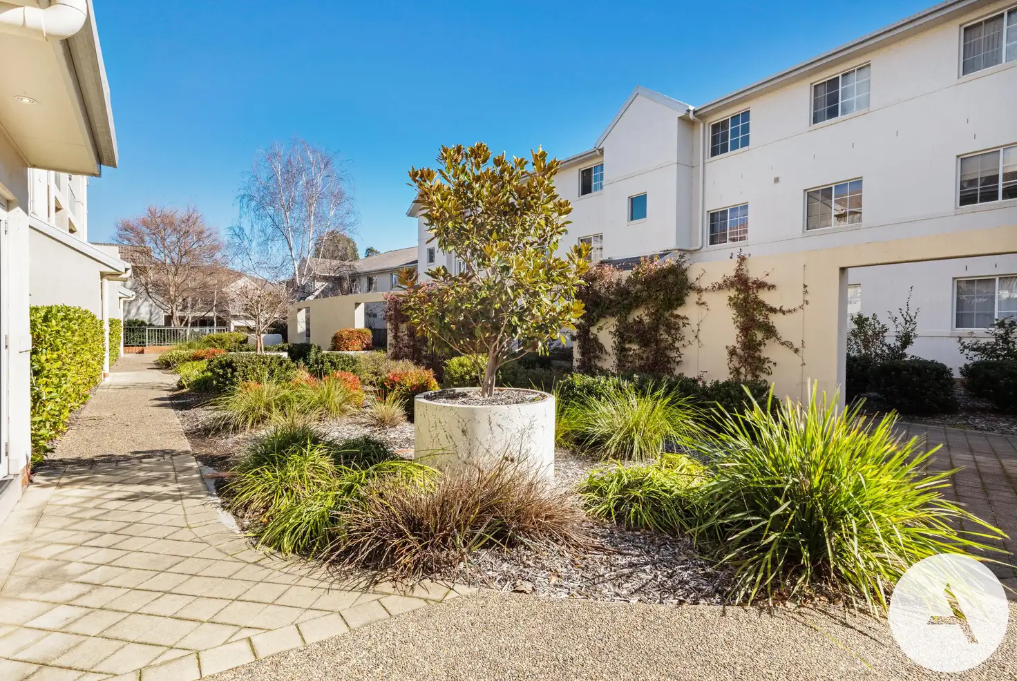 Main view of Homely apartment listing, 13/20 Federal Highway, Watson ACT 2602