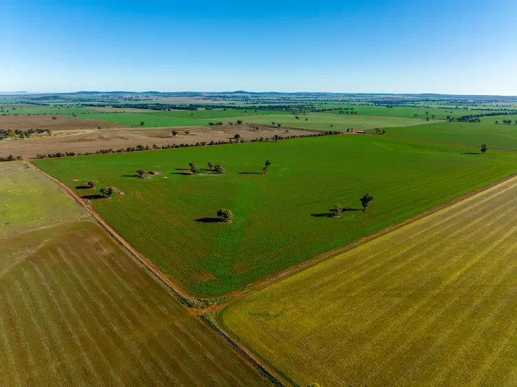 Third view of Homely rural property listing, 'Glen Ayr', 2222 East West Road, Methul NSW 2701
