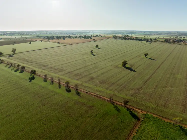 Fourth view of Homely rural property listing, 'Glen Ayr', 2222 East West Road, Methul NSW 2701