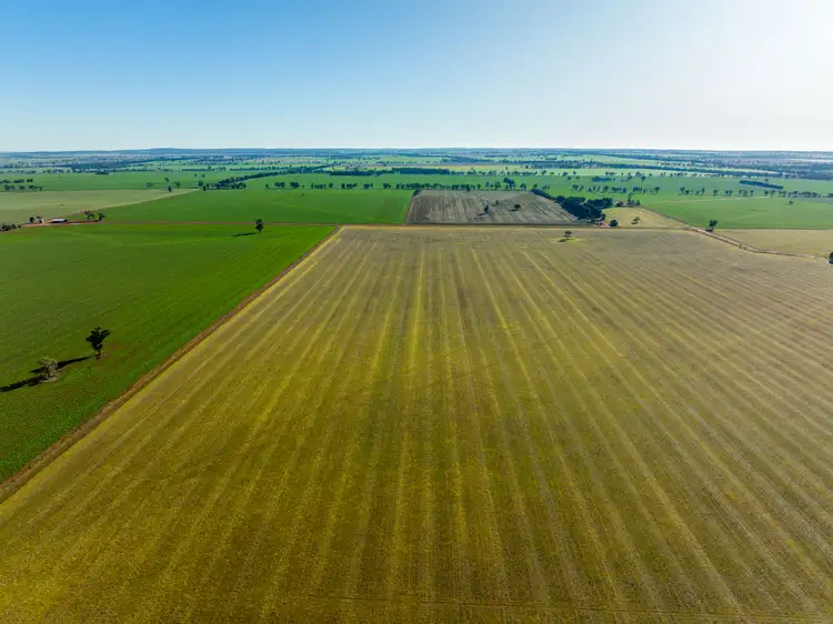 Fifth view of Homely rural property listing, 'Glen Ayr', 2222 East West Road, Methul NSW 2701