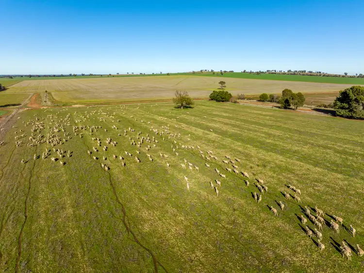 Sixth view of Homely rural property listing, 'Glen Ayr', 2222 East West Road, Methul NSW 2701