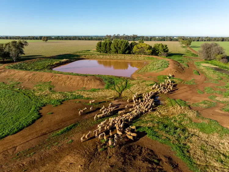 Seventh view of Homely rural property listing, 'Glen Ayr', 2222 East West Road, Methul NSW 2701