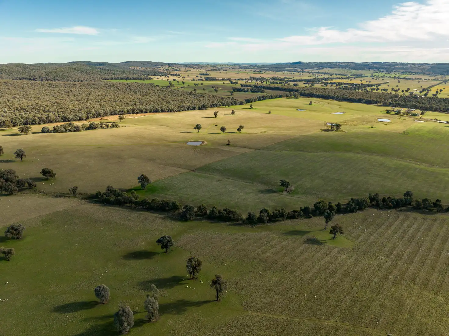 Main view of Homely rural property listing, 'Billoonbah', 374 Woolshed Lane, Big Springs NSW 2650