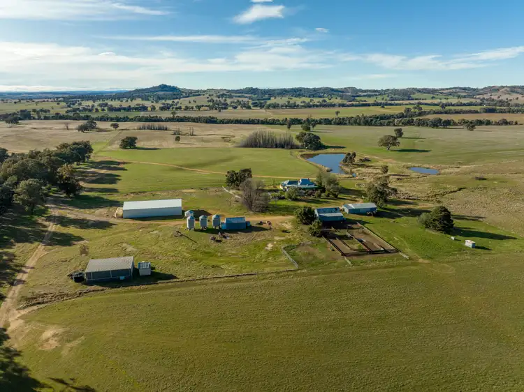 Second view of Homely rural property listing, 'Billoonbah', 374 Woolshed Lane, Big Springs NSW 2650