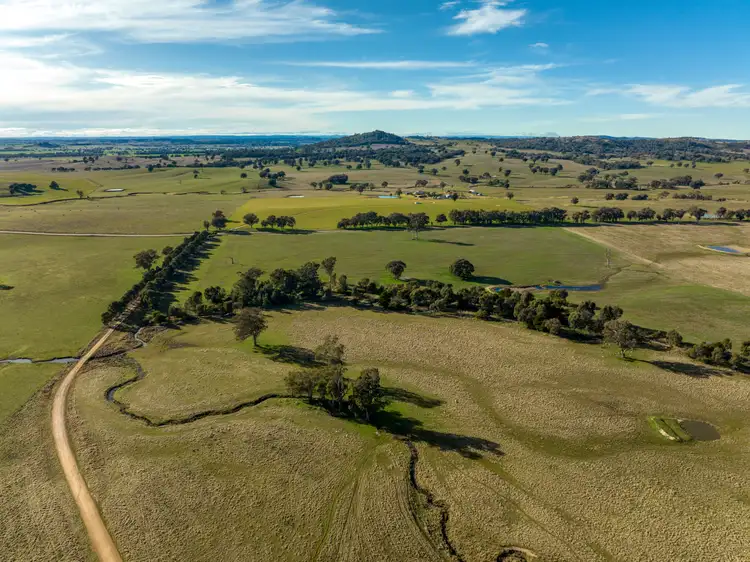 Third view of Homely rural property listing, 'Billoonbah', 374 Woolshed Lane, Big Springs NSW 2650