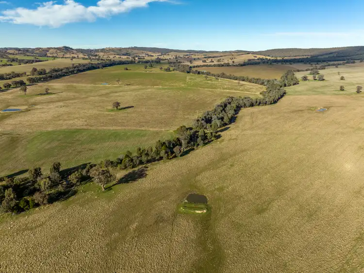 Fourth view of Homely rural property listing, 'Billoonbah', 374 Woolshed Lane, Big Springs NSW 2650