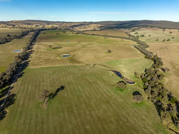 Fifth view of Homely rural property listing, 'Billoonbah', 374 Woolshed Lane, Big Springs NSW 2650